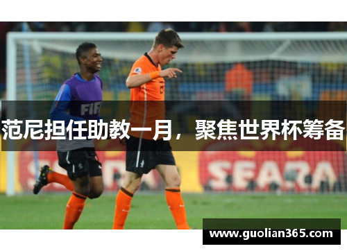 范尼担任助教一月，聚焦世界杯筹备