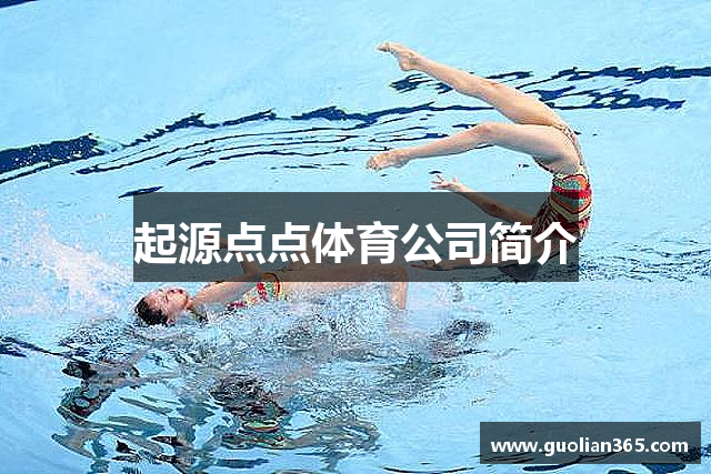 起源点点体育公司简介